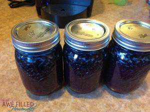 Instant Pot Blueberry Jam