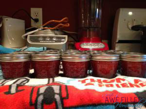 Instant Pot Blueberry Jam