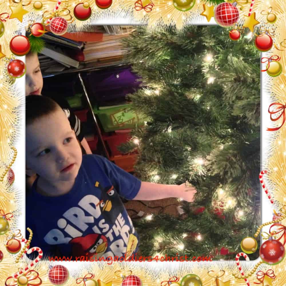 Oh christmas tree