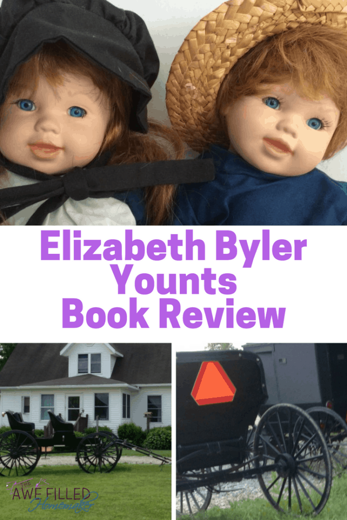 Elizabeth Byler Younts Book Review