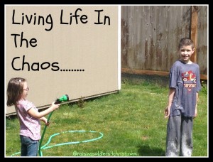 Living in the Chaos