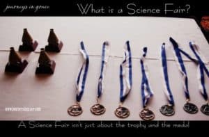Science Fair as a Home Educated Student