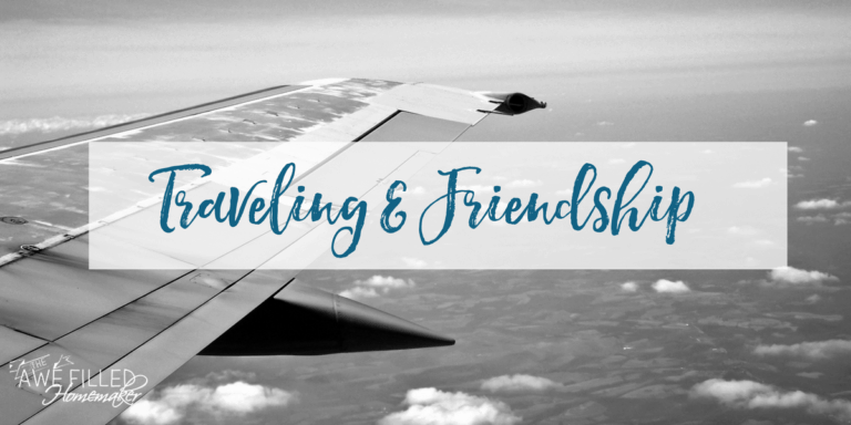Traveling Friendship