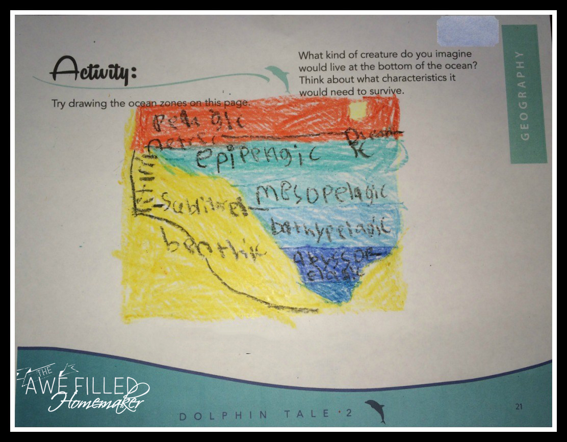 Dolphin Tale 2 FREE Curriculum