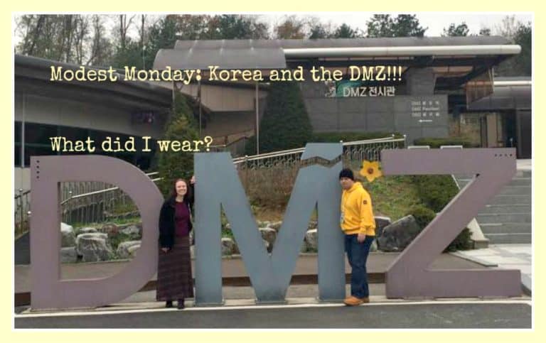 DMZ cover