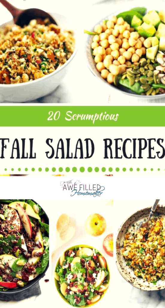 fall salad recipes