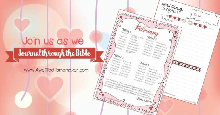 Journal through the bible Feb FB