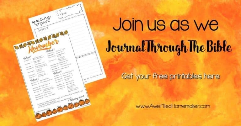 Journal through the bible Nov FB