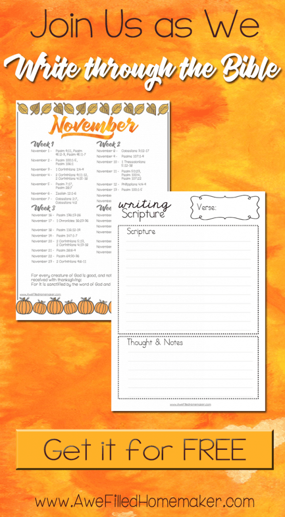 November Write Through The Bible Vertical