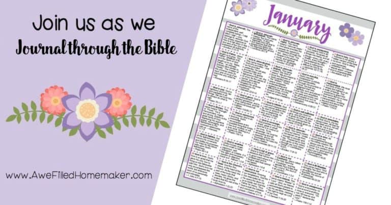 Write Through The Bible January FB