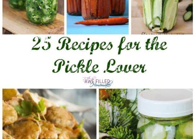 Pickle Recipes Vertical  e1479613144547