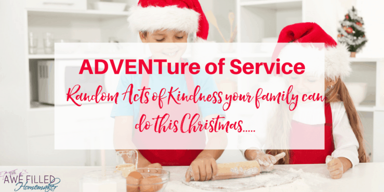 adventure of service