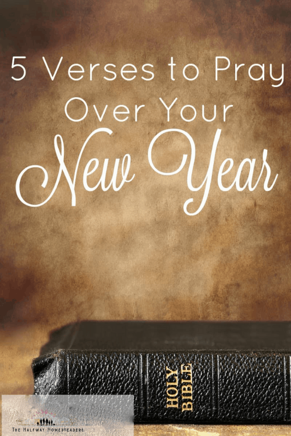 5 Verses to Pray Over Your New Year 1