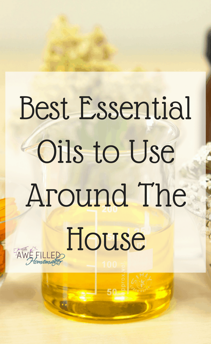 Best Essential Oils to Use Around The House
