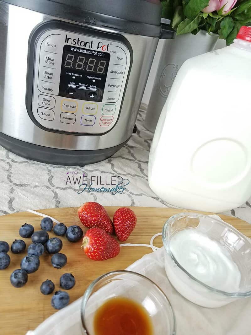 Instant Pot Greek Yogurt