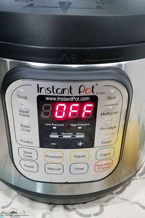 Instant Pot For Beginners