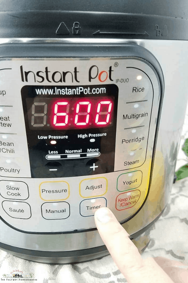Instant Pot For Beginners