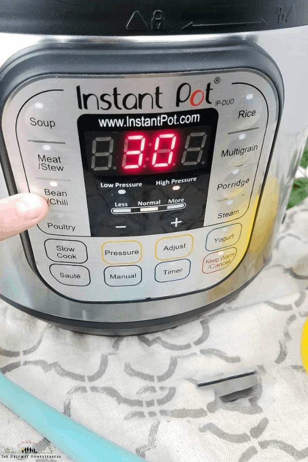 Instant Pot For Beginners