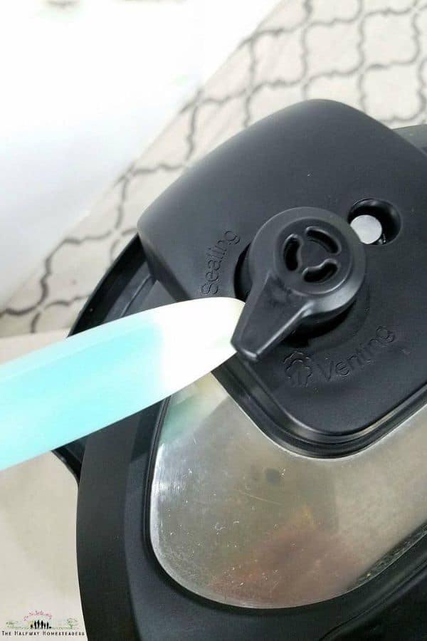 Instant Pot For Beginners