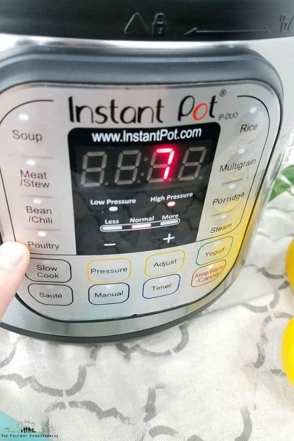 Instant Pot For Beginners