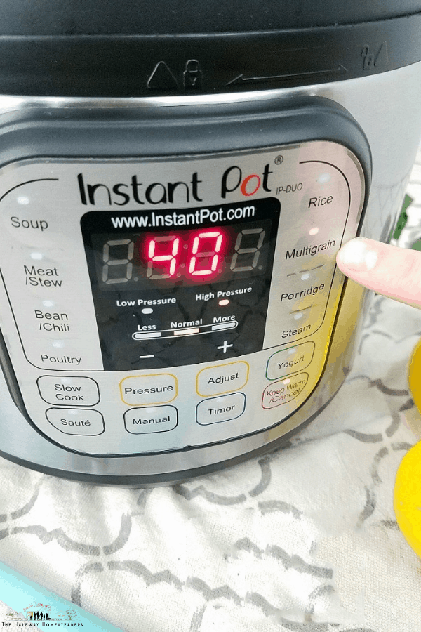Instant Pot For Beginners