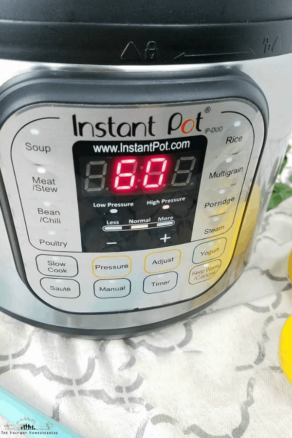 Instant Pot For Beginners