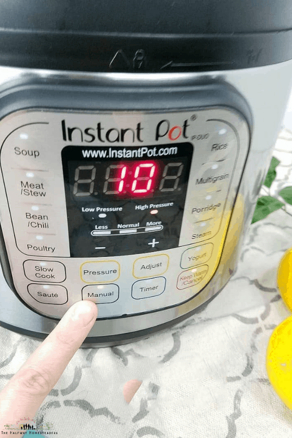 Instant Pot For Beginners
