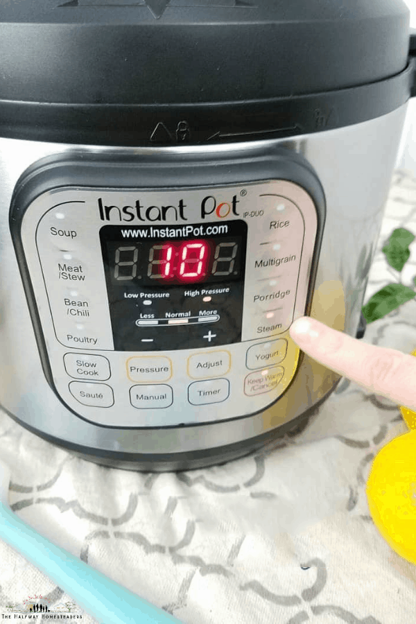 Instant Pot For Beginners
