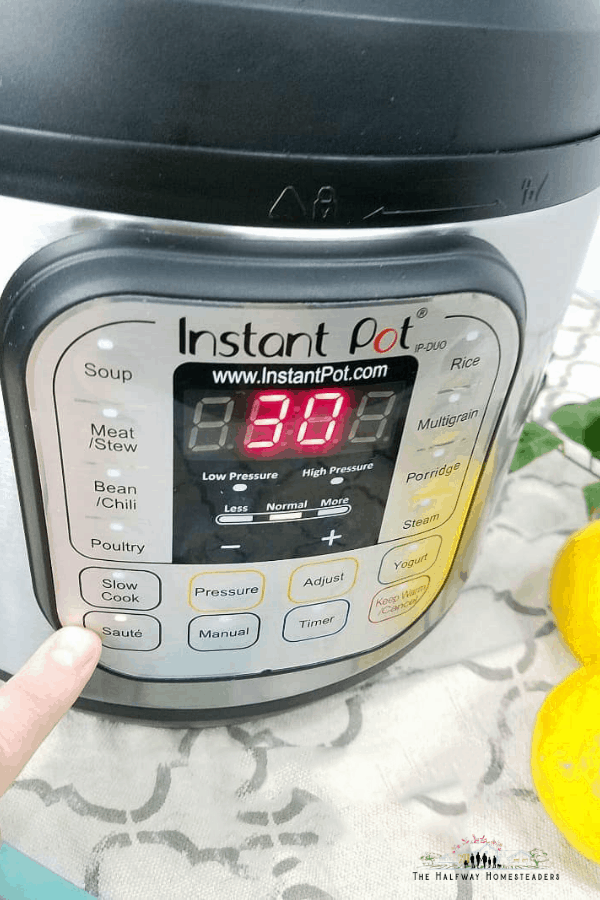 Instant Pot For Beginners