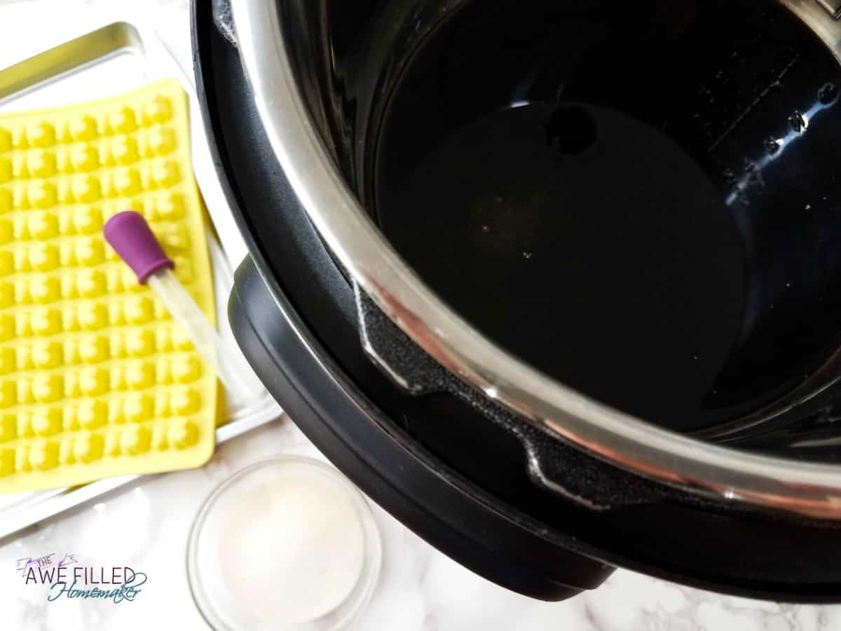 Instant Pot Elderberry Gummies