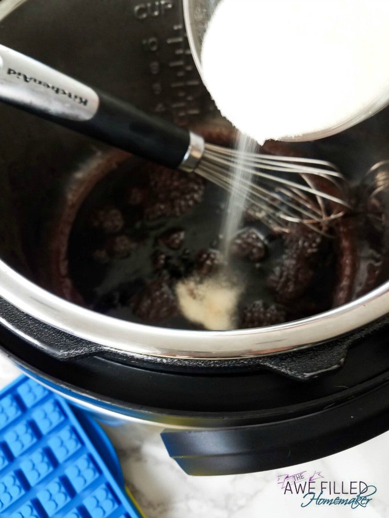 Instant Pot Elderberry Gummies