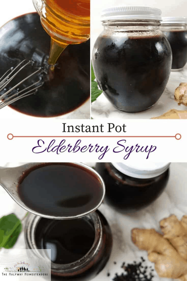 Elderberry Syrup