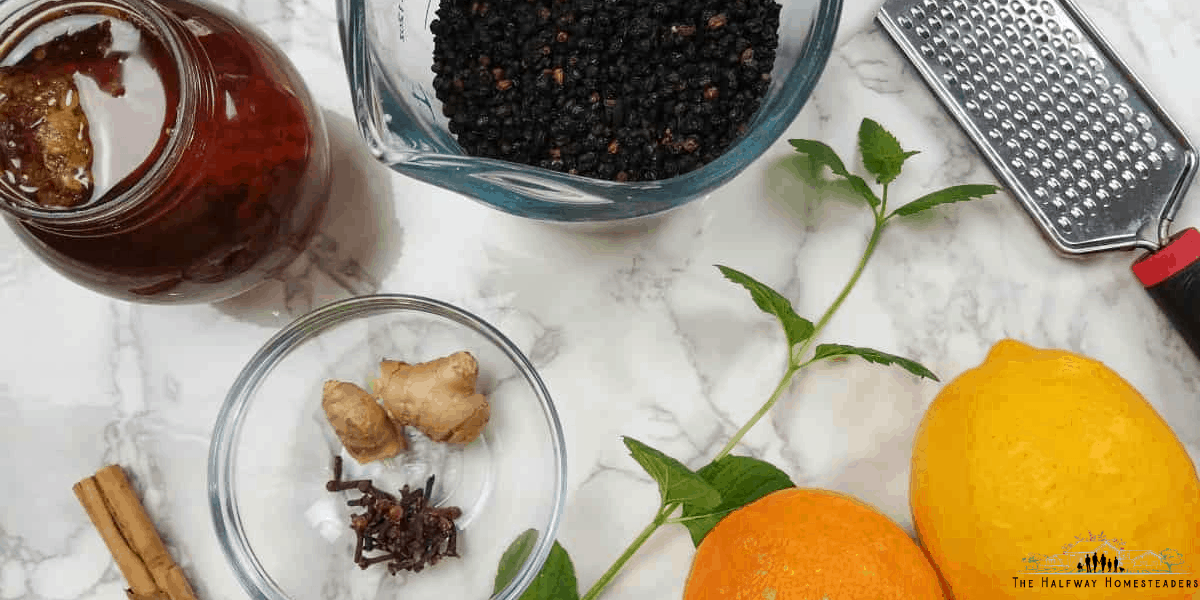 Elderberry Syrup