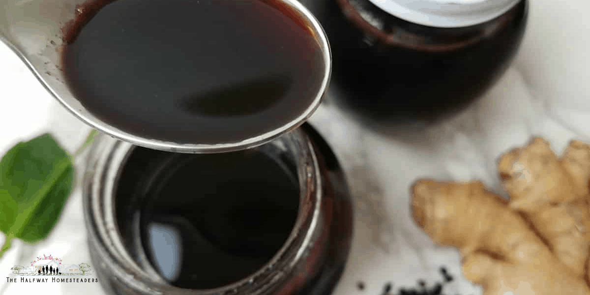 Instant Pot Elderberry Syrup 4