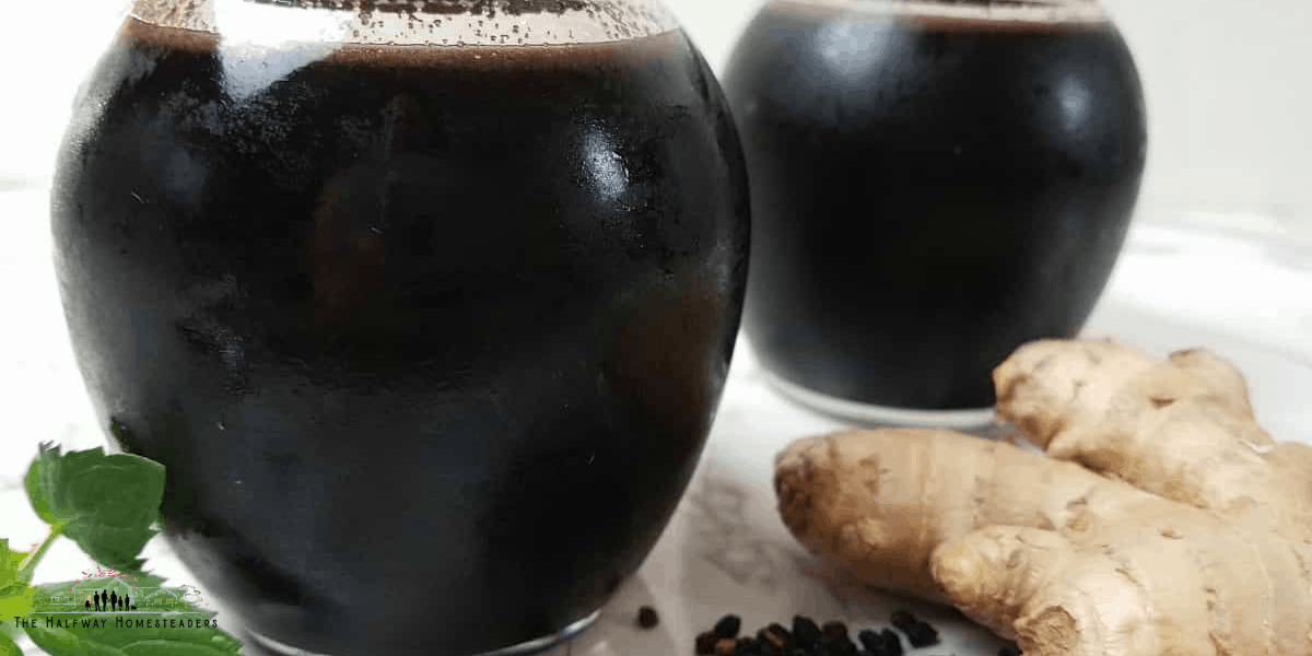 Elderberry Syrup