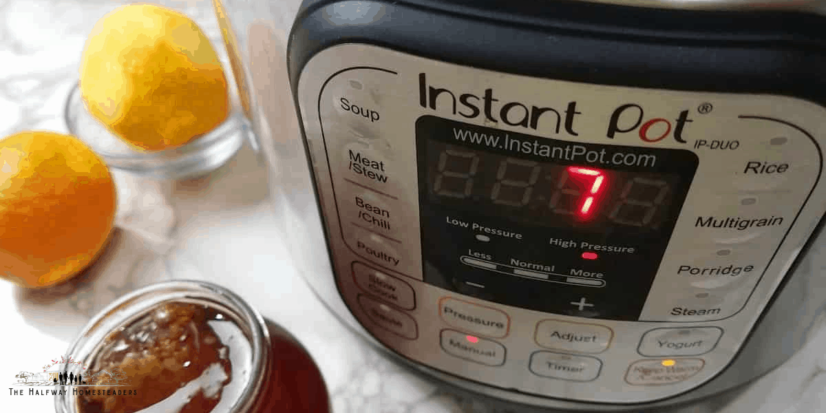 Elderberry Syrup