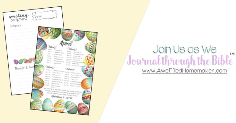 Journal Through The Bible FB.001