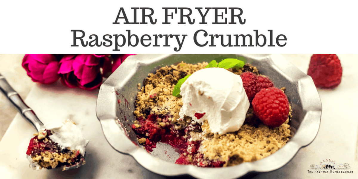 22 Quick & Delicious Air Fryer Recipes!