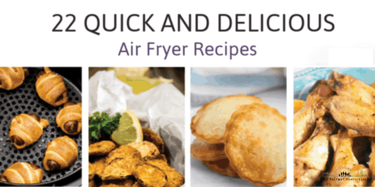 22 Quick Delicious Air Fryer Recipes 2