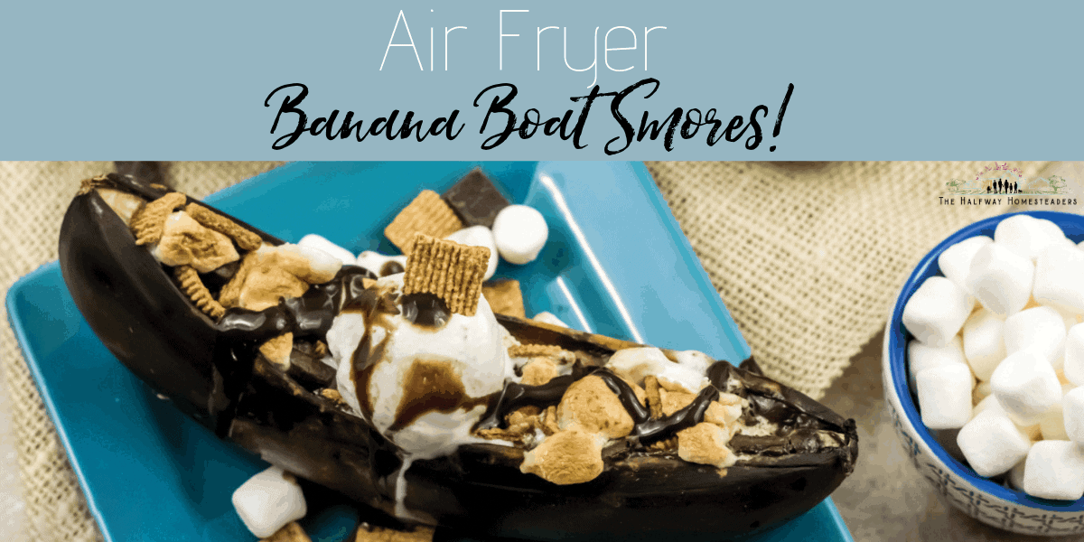 22 Quick & Delicious Air Fryer Recipes!