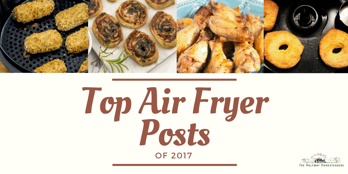 22 Quick & Delicious Air Fryer Recipes!