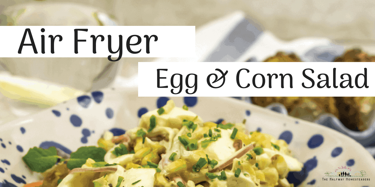 22 Quick & Delicious Air Fryer Recipes!