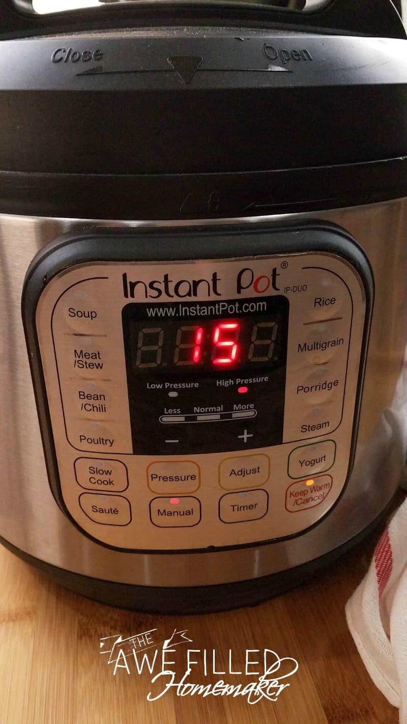 Instant Pot Country Style Green Beans