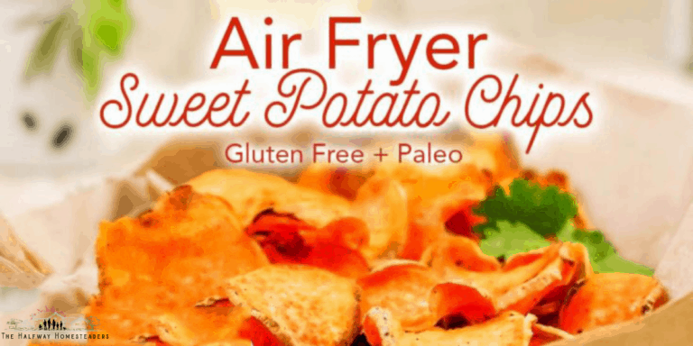 Air Fryer Sweet Potato Chips 8 1