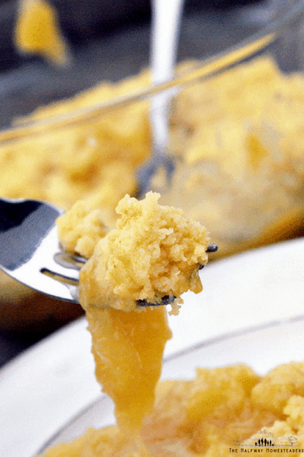 Instant Pot Peach Cobbler