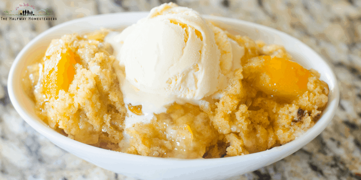 Instant Pot Peach Cobbler