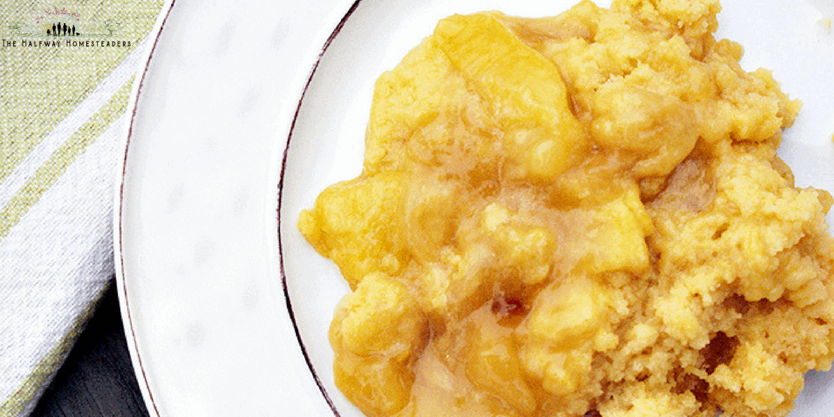 Instant Pot Peach Cobbler