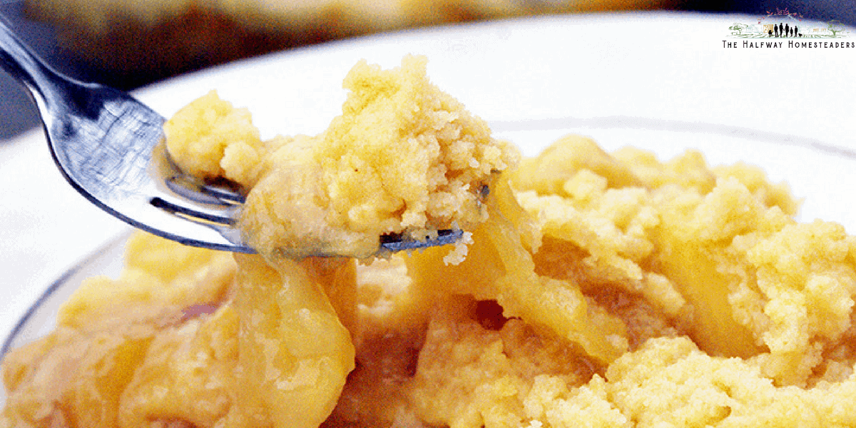 Instant Pot Peach Cobbler
