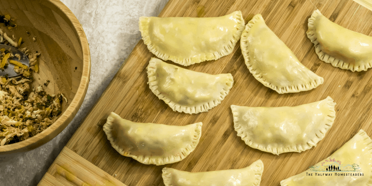 Air Fryer Spicy Mexican Shredded Chicken Recipe for Empanadas