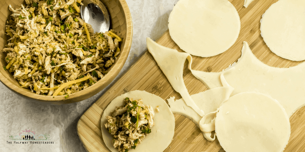 Air Fryer Spicy Mexican Shredded Chicken Recipe for Empanadas